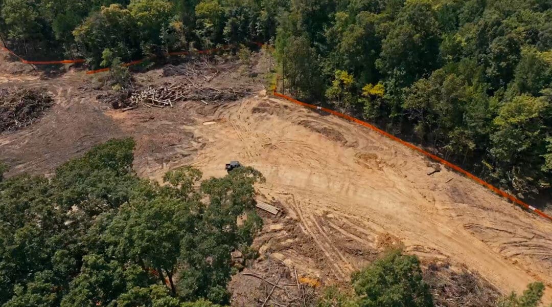 Watch: Veridea Project Update