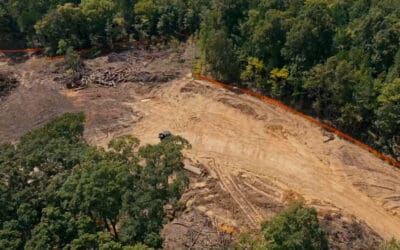 Watch: Veridea Project Update